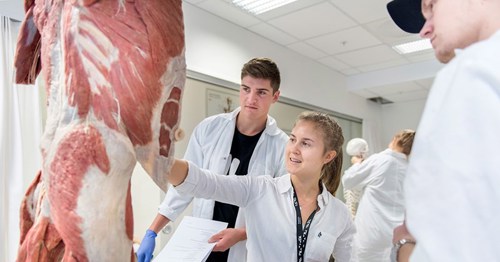 Studenter i labfrakk inspiserer et stykke hengende kjøtt.