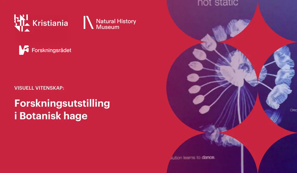 Arrangement oppslag med tittel "Forskningsutstilling i Botanisk hage" og logo til samarbeidspartnerne: Natur Historisk Museum og Forskningrådet