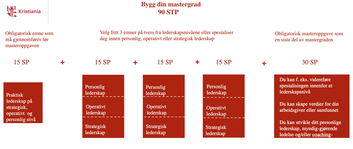 Bilde av tabeller som viser ulike emner og hvordan de kan kombineres for å lage en fullstendig grad.