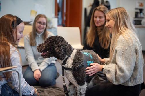 Menneskets beste venn kommer til campus