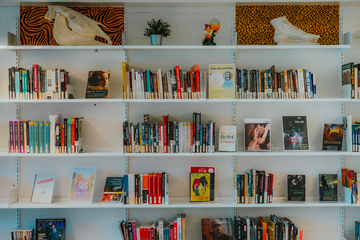 Visning av bøker på Fjerdingen bibliotek